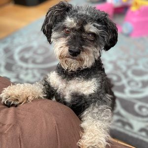 Meet your Posher, Heather